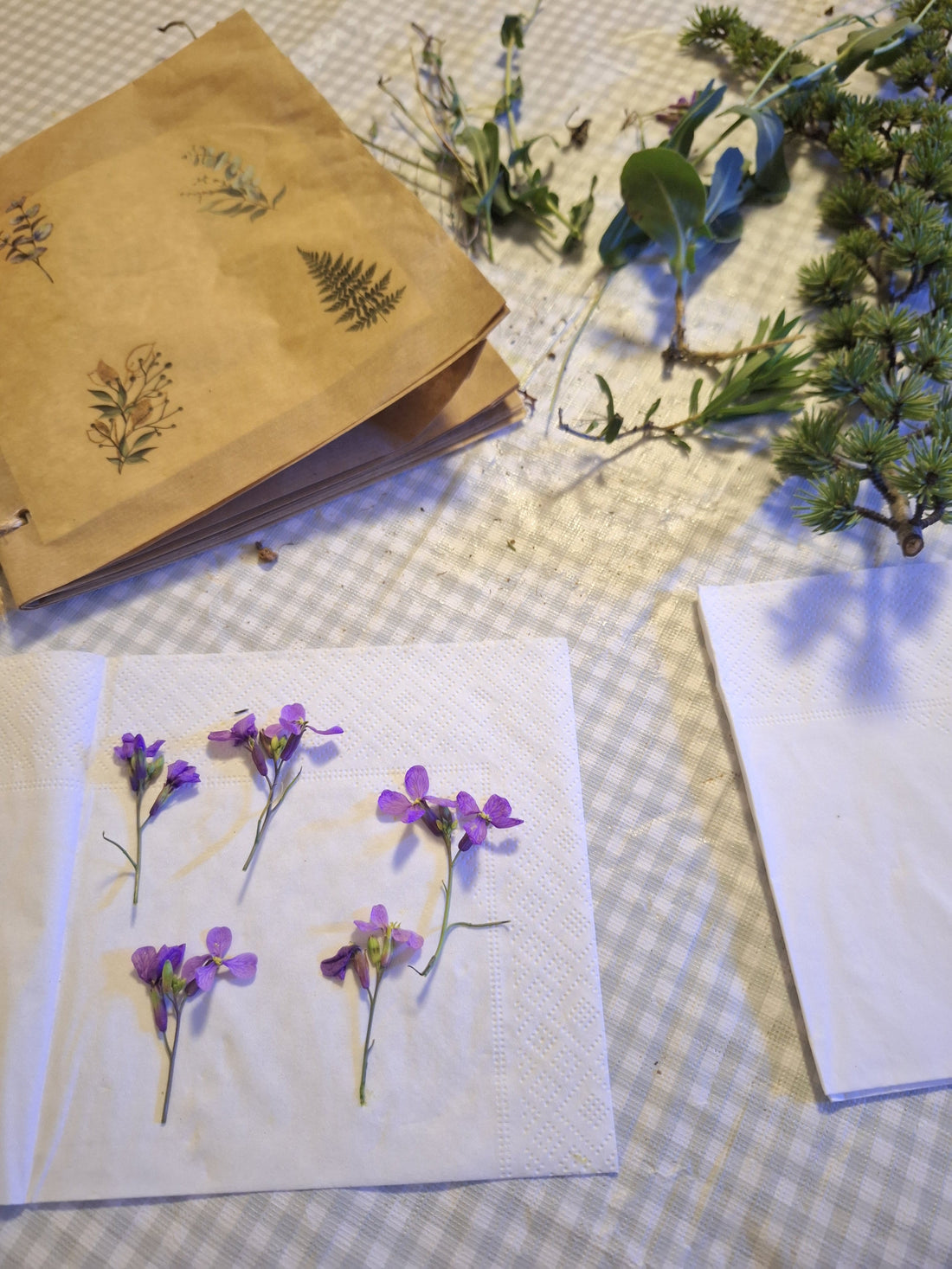 Cómo seco flores en casa (y por qué nunca tengo prisa)