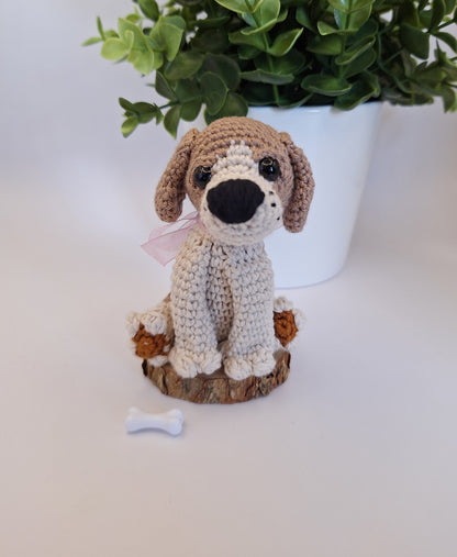 Labrador