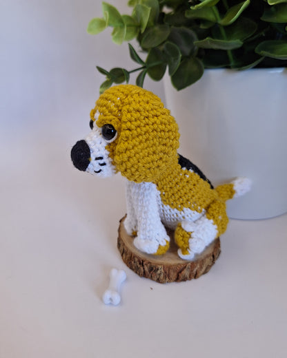 Beagle