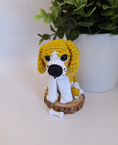 Beagle